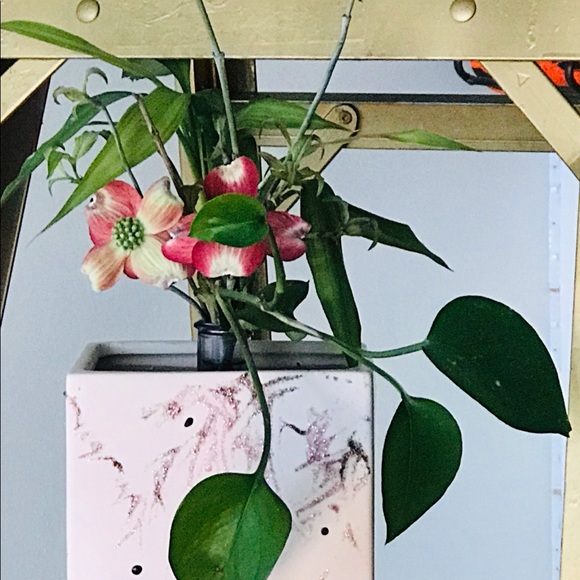 Plant & Cuttings Propagation Station - Watch plants growing their root systems! - Picture 6 of 7